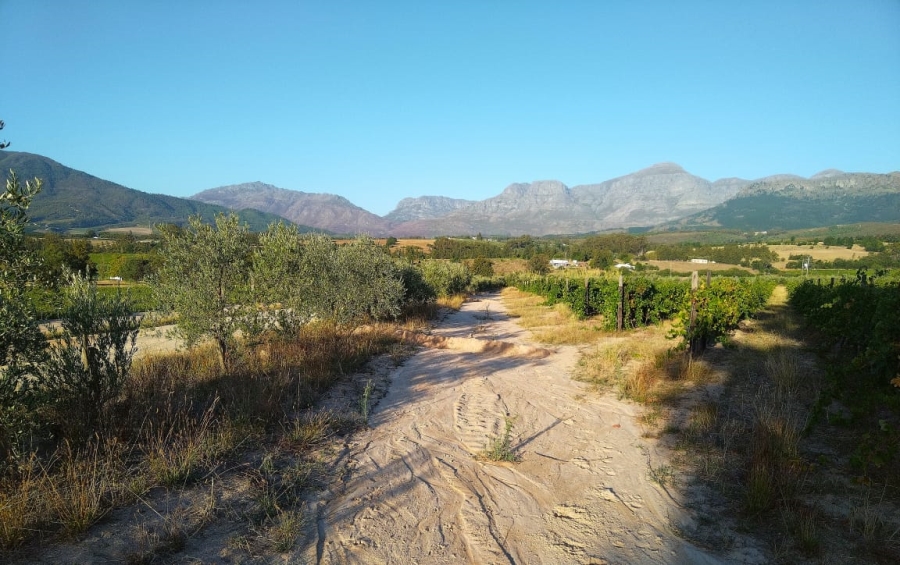 0 Bedroom Property for Sale in Ranzadale Western Cape